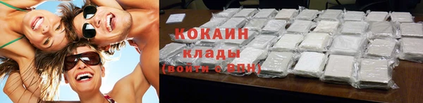 шишки Алексин