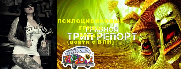 mix Алексеевка