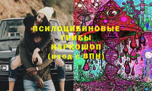 шишки Алексин