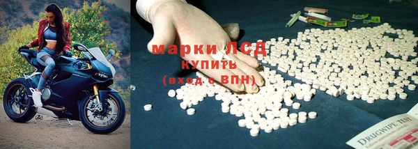 мяу мяу мука Алзамай