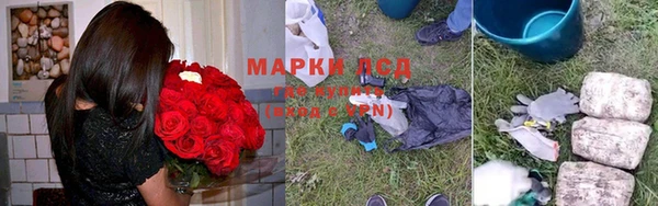 шишки Алексин