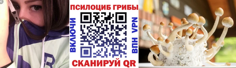 Галлюциногенные грибы прущие грибы  Выкса 